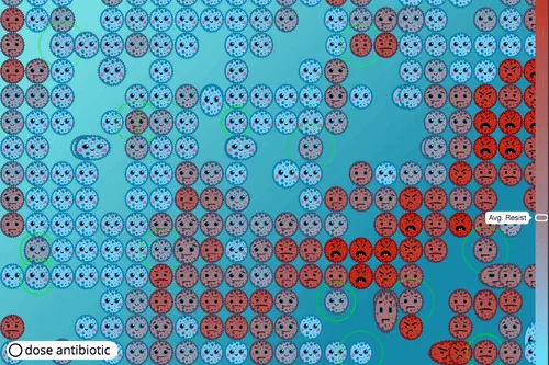Antibiotic Resistance